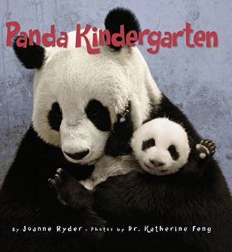 portada Panda Kindergarten