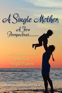 portada a single mother, a few perspectives......and anyone else that is a single parent (en Inglés)