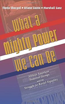 portada What a Mighty Power we can be: African American Fraternal Groups and the Struggle for Racial Equality (Princeton Studies in American Politics: Historical, International, and Comparative Perspectives) (en Inglés)