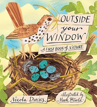 portada Outside Your Window: A First Book of Nature (en Inglés)