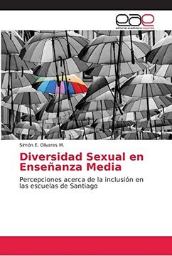 portada Diversidad Sexual en Enseñanza Media: Percepciones Acerca de la Inclusión en las Escuelas de Santiago