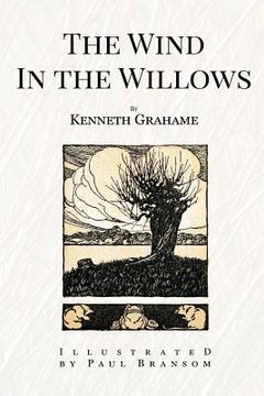portada The Wind In the Willows: Illustrated (in English)