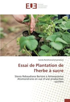 portada Essai de Plantation de l'herbe à sucre: Stevia Rebaudiana Bertoni à Antananarivo Atsimondrano en vue d’une production sucrière (French Edition)