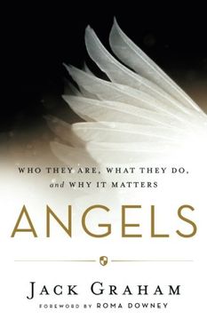 portada Angels: Who They Are, What They do, and why it Matters 