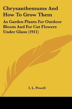 portada chrysanthemums and how to grow them: as garden plants for outdoor bloom and for cut flowers under glass (1911) (in English)