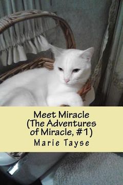 portada Meet Miracle: (The Adventures of Miracle, Volume 1) (en Inglés)