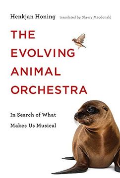 portada Evolving Animal Orchestra: In Search of What Makes us Musical (The mit Press) (en Inglés)