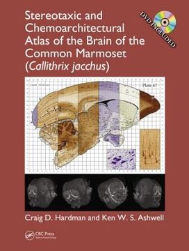 portada Stereotaxic and Chemoarchitectural Atlas of the Brain of the Common Marmoset (Callithrix Jacchus) (en Inglés)
