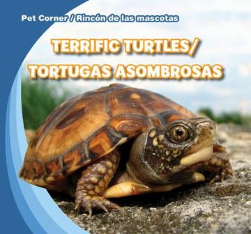 portada terrific turtles / tortugas asombrosas