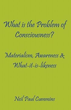 portada what is the problem of consciousness?: materialism, awareness & what-it-is-likeness (in English)