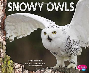 portada Snowy Owls
