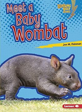 portada Meet a Baby Wombat (Lightning Bolt Books: Baby Australian Animals) (in English)