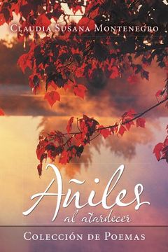 portada Aniles al Atardecer: Coleccion de Poemas (in Spanish)