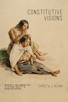 portada Constitutive Visions: Indigeneity and Commonplaces of National Identity in Republican Ecuador (Rhetoric and Democratic Deliberation) (Volume 9) (in English)