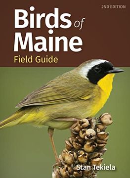 portada Birds of Maine Field Guide (en Inglés)