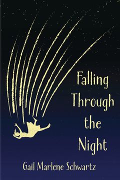 portada Falling Through the Night by Gail Marlene Schwartz (en Inglés)