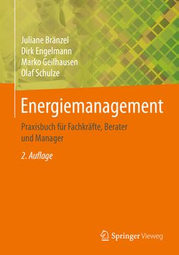 portada Energiemanagement: Praxisbuch Für Fachkräfte, Berater Und Manager (en Alemán)