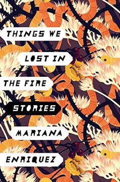portada Things we Lost in the Fire: Stories 