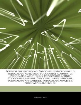 portada articles on podocarpus, including: podocarpus macrophyllus, podocarpus nubigenus, podocarpus acuminatus, podocarpus acutifolius, podocarpus affinis, p