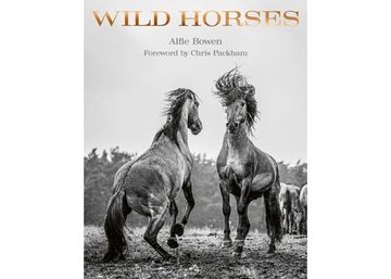 portada Wild Horses
