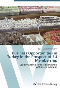 portada Business Opportunities in Turkey in the Prospect of EU Membership: Country Analysis for Foreign Investors  with Useful Examples