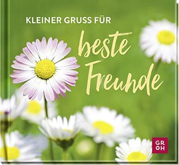portada Kleiner Gruß für Beste Freunde: Geschenkbuch mit Texten und Zitaten als Geschenk zum Geburtstag Oder für Zwischendurch (en Alemán)