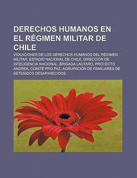 Libro Derechos Humanos En El R Gimen Militar De Chile: Violaciones De ...