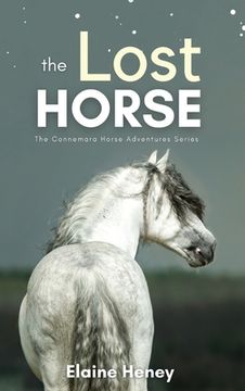 portada The Lost Horse - Book 6 in the Connemara Horse Adventure Series for Kids The Perfect Gift for Children