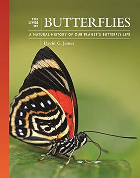 portada The Lives of Butterflies: A Natural History of our Planet'S Butterfly Life (The Lives of the Natural World, 6) 