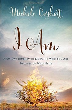 portada I Am: A 60-Day Journey to Knowing Who You Are Because of Who He Is