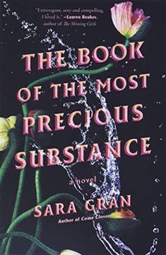 portada The Book of the Most Precious Substance (in English)