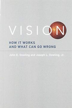 portada Vision: How it Works and What can go Wrong (The mit Press) (en Inglés)