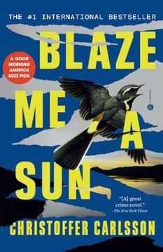portada Blaze me a Sun: A Novel About a Crime (in English)