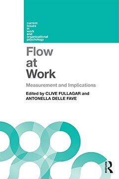 portada Flow at Work: Measurement and Implications (en Inglés)