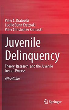 portada Juvenile Delinquency: Theory, Research, and the Juvenile Justice Process (en Inglés)