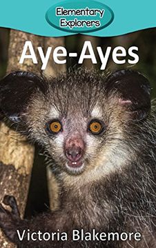 portada Aye-Ayes (Elementary Explorers)