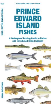 portada Prince Edward Island Fishes: A Waterproof Folding Guide to Native and Introduced Freshwater Species (in English)