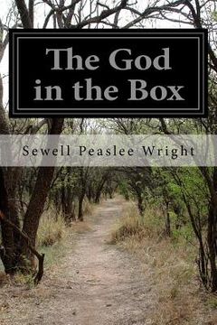 portada The God in the Box (in English)