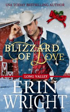 portada Blizzard of Love: A Long Valley Romance Novella (2) (en Inglés)