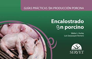 portada Guías Prácticas en Producción Porcina. Encalostrado en Porcino - Libros de Veterinaria - Editorial Servet (in Spanish)