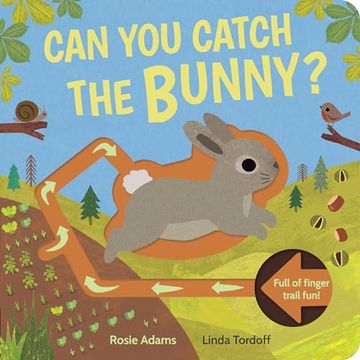 portada Can you Catch the Bunny?