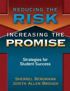 portada Reducing the Risk, Increasing the Promise: Strategies for Student Success (en Inglés)