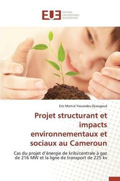 portada Projet structurant et impacts environnementaux et sociaux au Cameroun