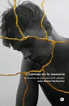 portada Cicatrices en la Memoria (in Spanish)