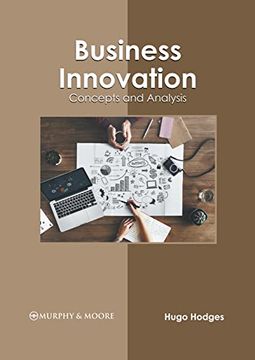 portada Business Innovation: Concepts and Analysis (in English)