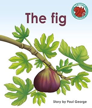 portada The fig (Red Squirrel Phonics Level 2 set 2) (en Inglés)