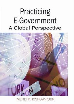 portada practicing e-government: a global perspective (en Inglés)