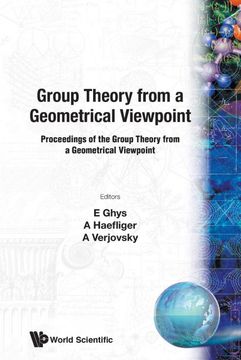 portada Group Theory From a Geometrical Viewpoint (en Inglés)