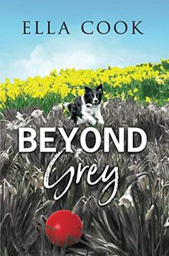portada Beyond Grey (in English)