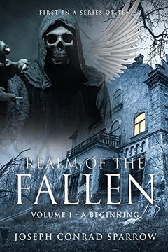 portada Realm of the Fallen: Volume 1 - a Beginning (in English)